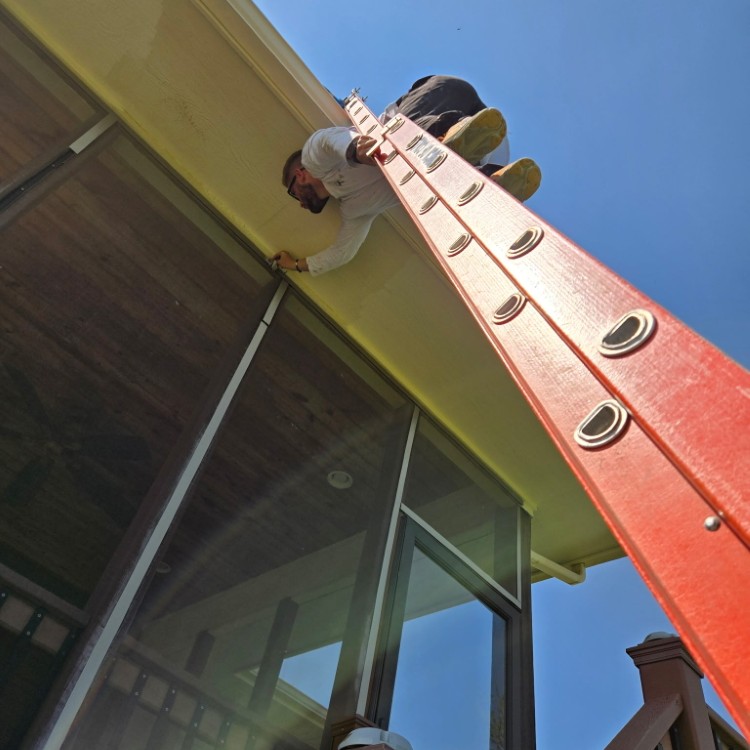 Just another WordPress site