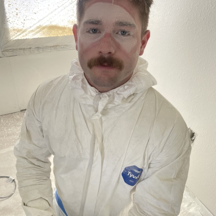 Just another WordPress site