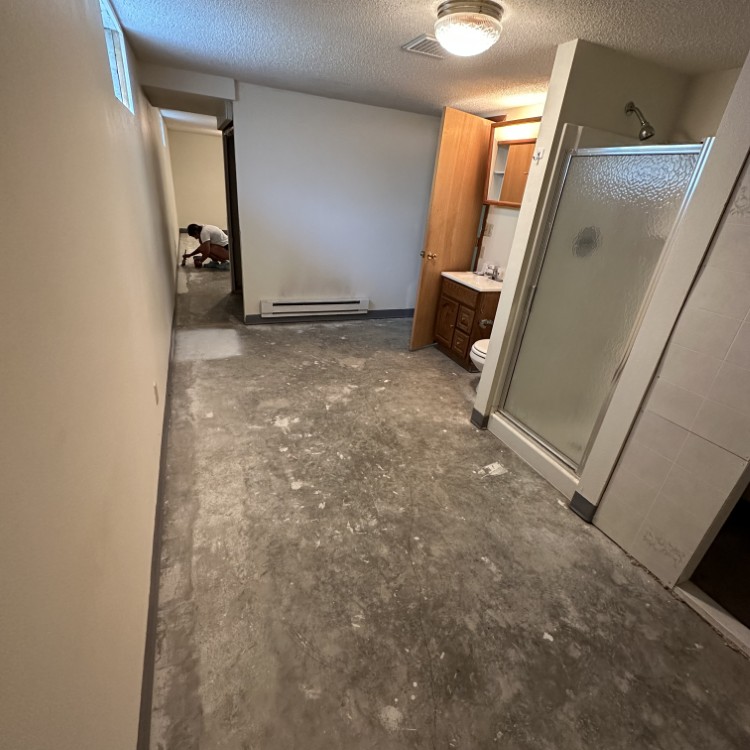 Just another WordPress site